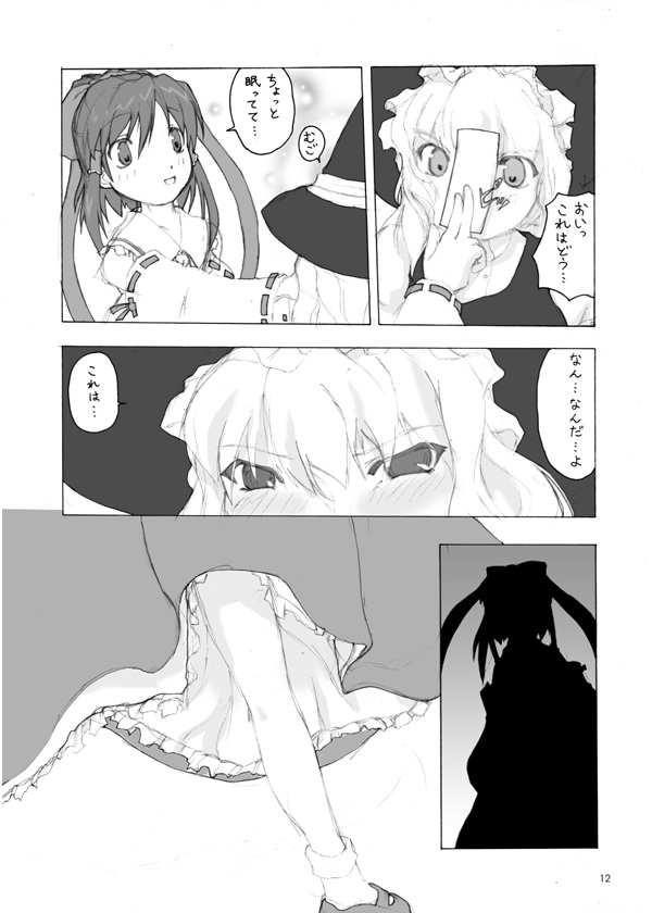 (C67) [Lost Sky, ERA FEEL (Kimijima Yoshinori, Kuraoka Aki)] Touhou Dankonju (Touhou Project) page 11 full