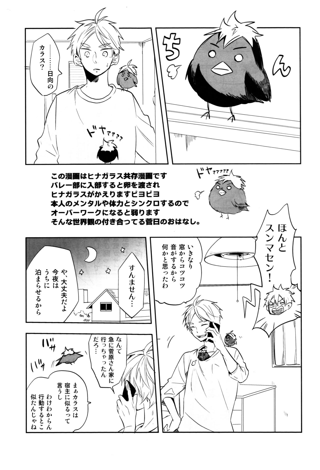 (RTS!!13) [catsnake (75)] LOVEPOTION (Haikyuu!!) page 47 full