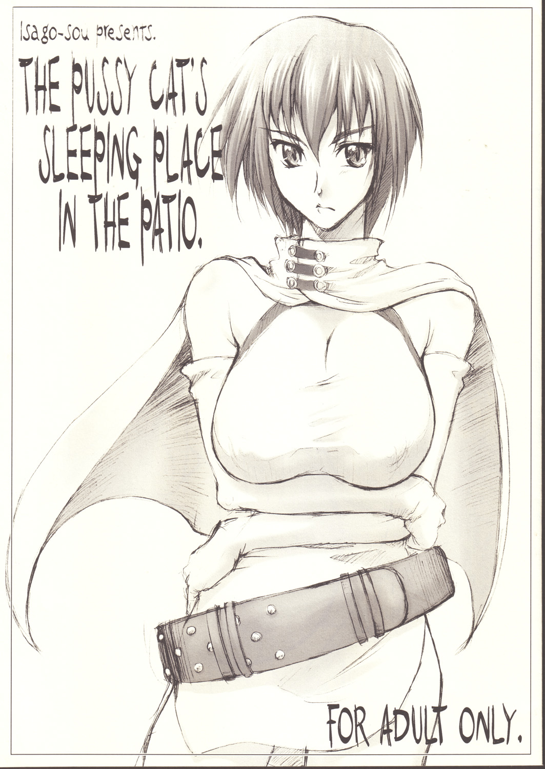 (ComiComi5) [Sago-Jou (Seura Isago)] The Pussy Cat's Sleeping Place in the Patio. (Thunder Claps) page 1 full