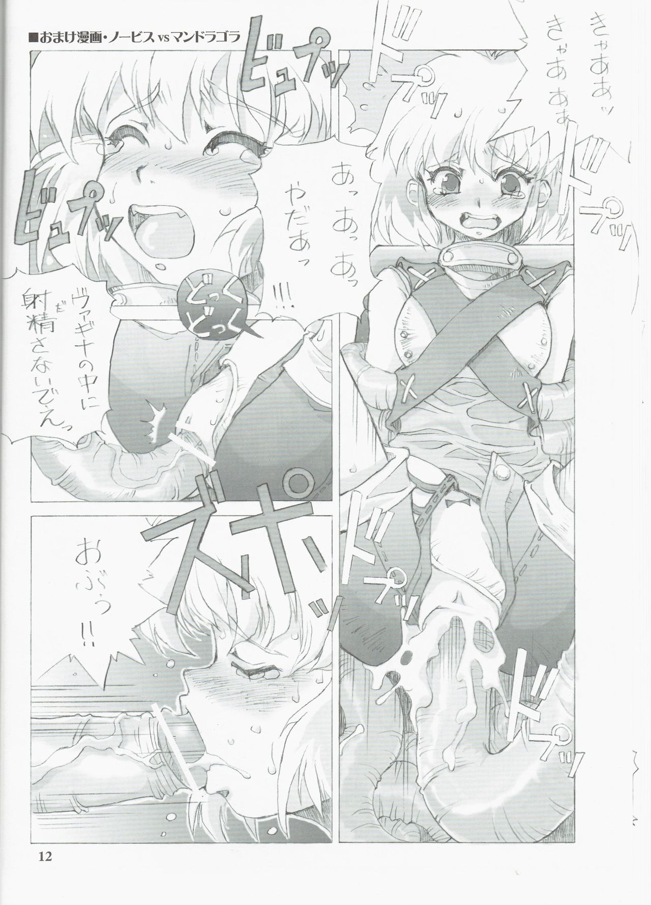 (C70) [Oboro & Tempo Gensui Dou (Tempo Gensui)] Tempo Gensui no Rakugakichou ~Ragnarok Online Deluxe Version~ (Ragnarok Online) page 12 full