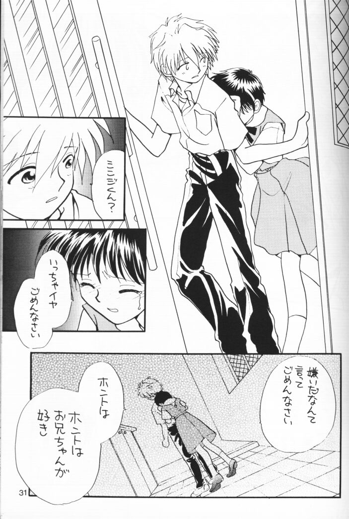 (C54) [Nikkou Kikaku (Gotou Noriko)] Chiisana Koi no Melody (Neon Genesis Evangelion) page 30 full