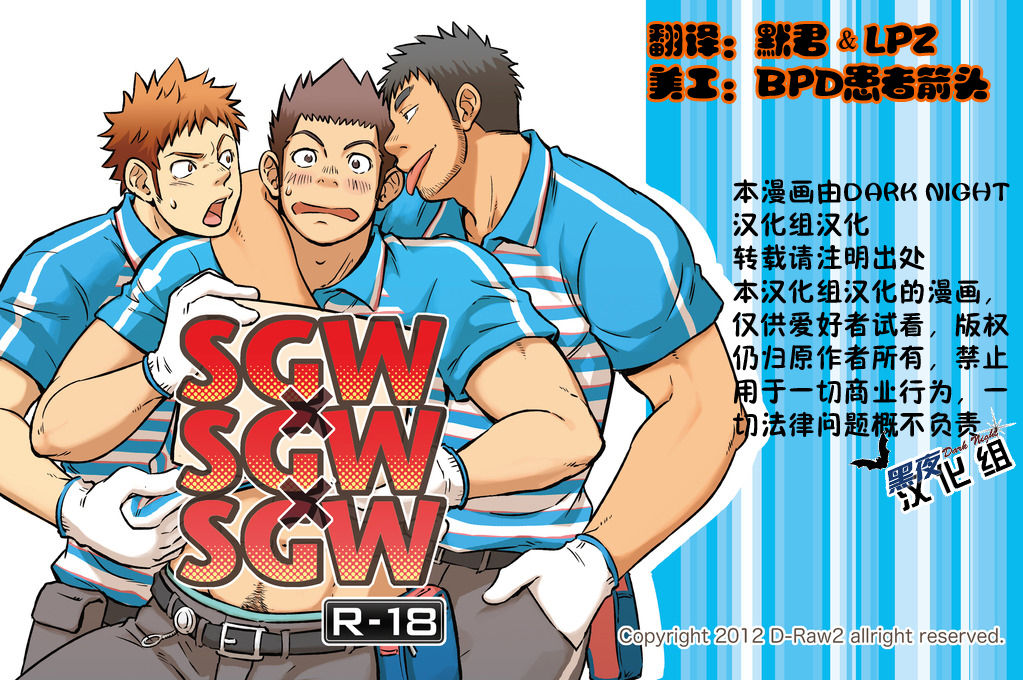 (C83) [D-Raw 2 (Draw2)] SGW×SGW×SGW [Chinese] [黑夜汉化组] page 1 full