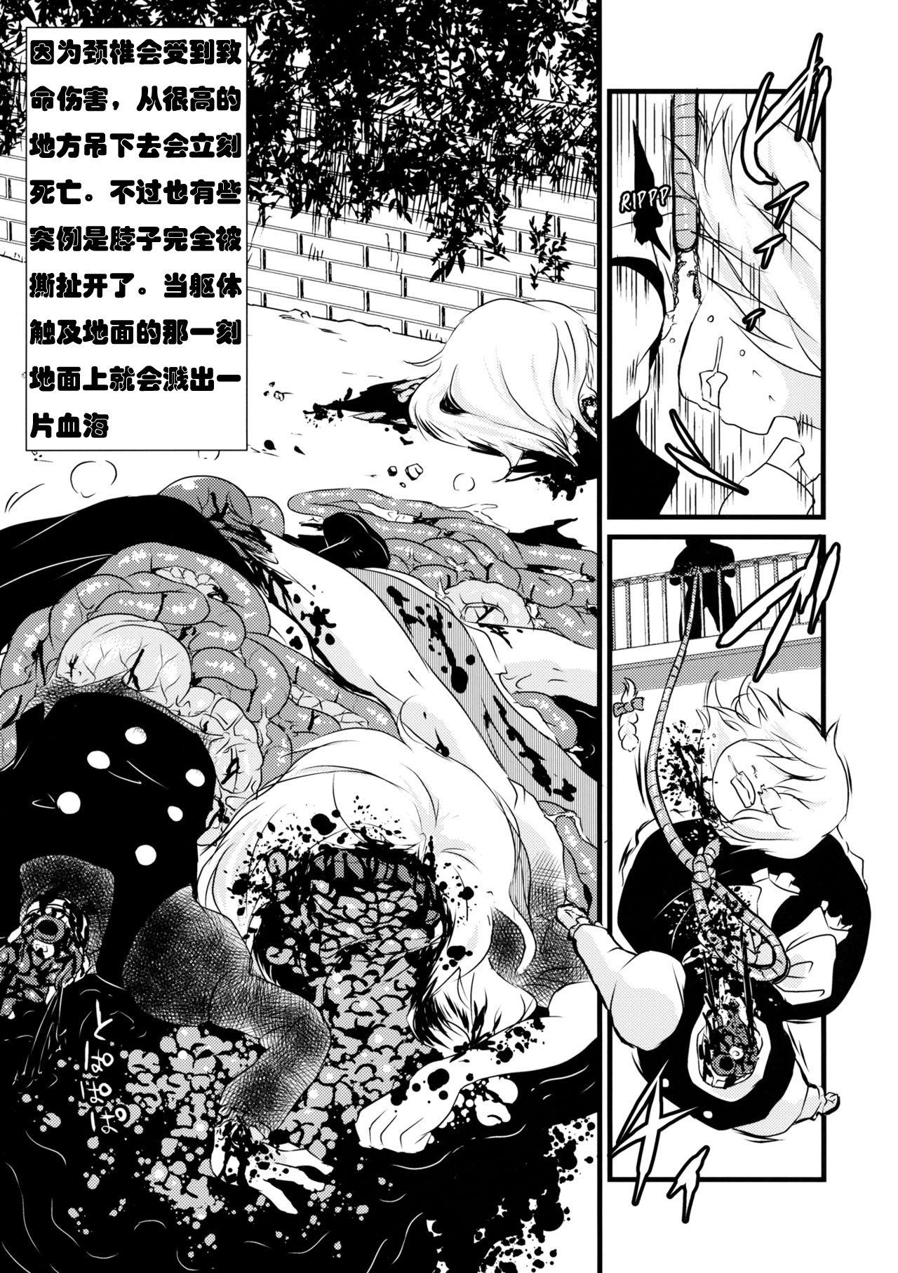 (C87) [02 (Harasaki)] 2P de Shinu Hon | The Dying In 2P Book (Touhou Project) [Chinese] [小海豹个人汉化] page 23 full