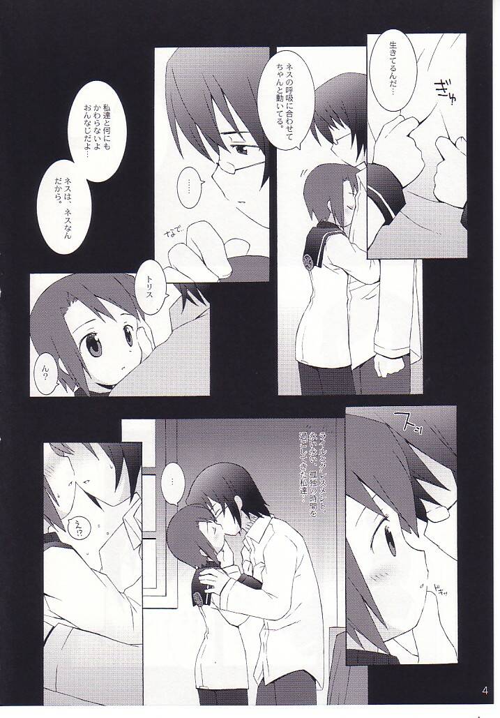 (C62) [Bakuhatsu BRS. (B.Tarou)] Matsuei-tachi no Utage (Summon Night 2) page 3 full