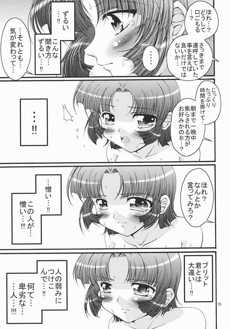 (C70) [FESTA (Yoshitani Motoka)] dainiji X-ha (Super Robot Wars) page 15 full