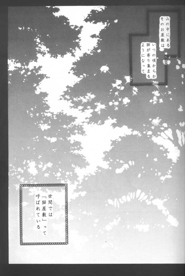(C64) [Sakurakan (Seriou Sakura)] Tobikikiri no Himitsu (Inuyasha) page 5 full