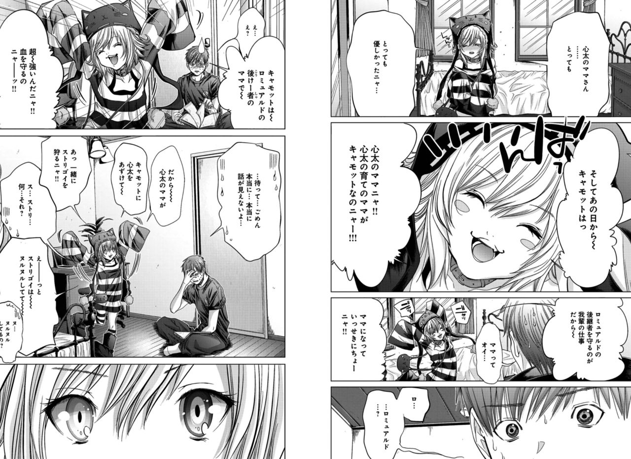 [Miyazaki Maya] Holy Knight ~Junketsu to Ai no Hazama de~ Vol. 4 page 27 full