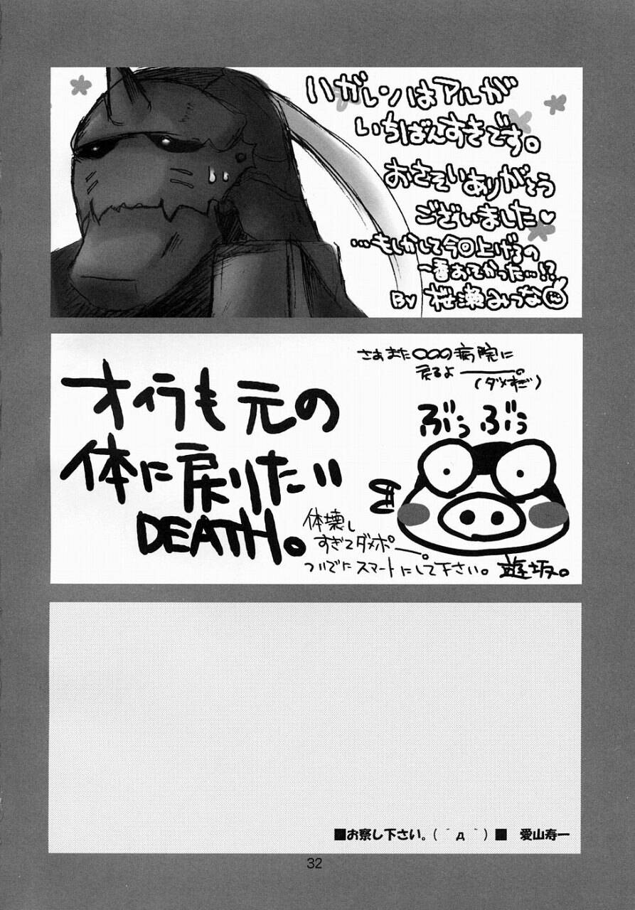 (C65) [UGEMAN (Aiyama Toshikazu, RT., Ugeppa)] Nerima (Full Metal Alchemist) page 31 full