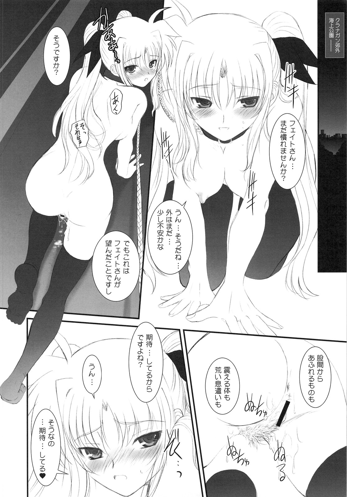 (C74) [Dieppe Factory (Alpine)] FATE FIRE WITH FIRE (Mahou Shoujo Lyrical Nanoha) page 34 full