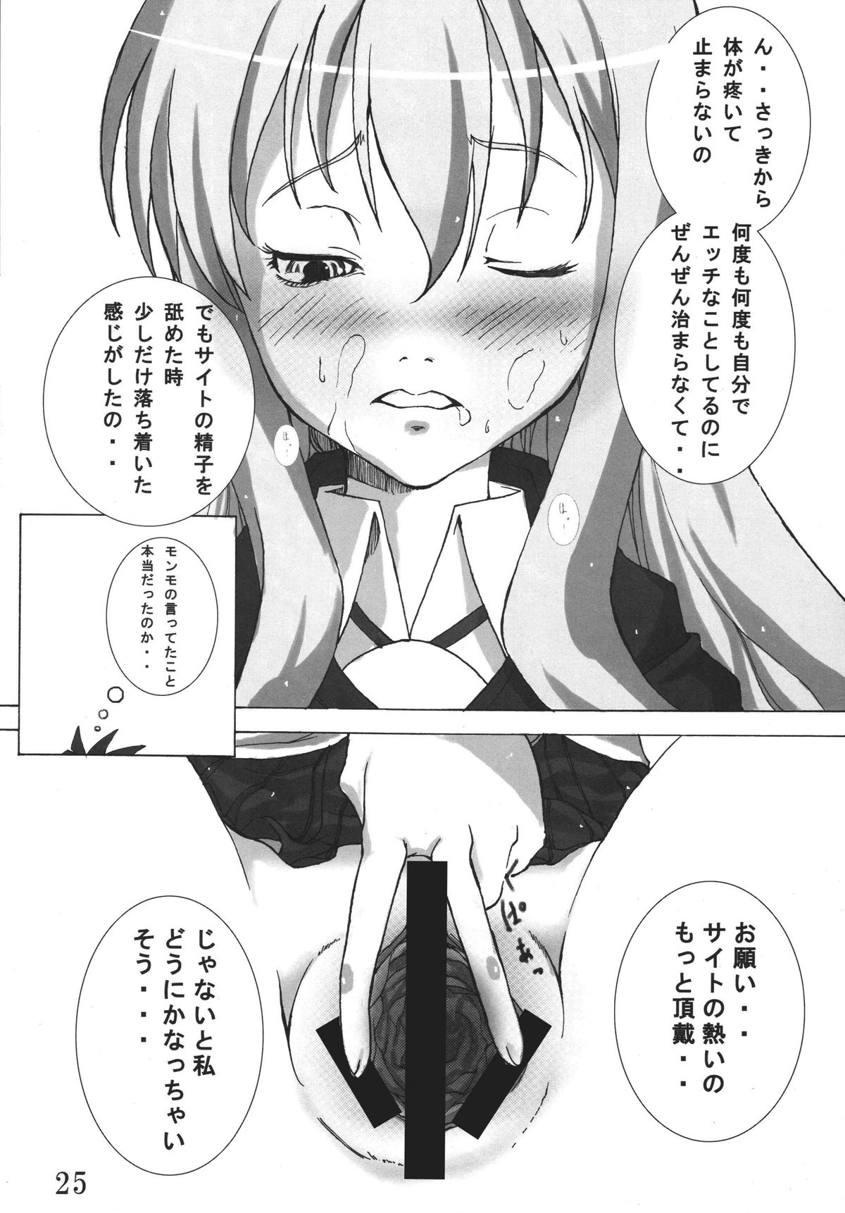 [Toriihime (Kokuu Rikishi, Hinayori)] Zerosigh de Ikou!! - Let's Zerosigh (Zero no Tsukaima) [Digital] page 25 full