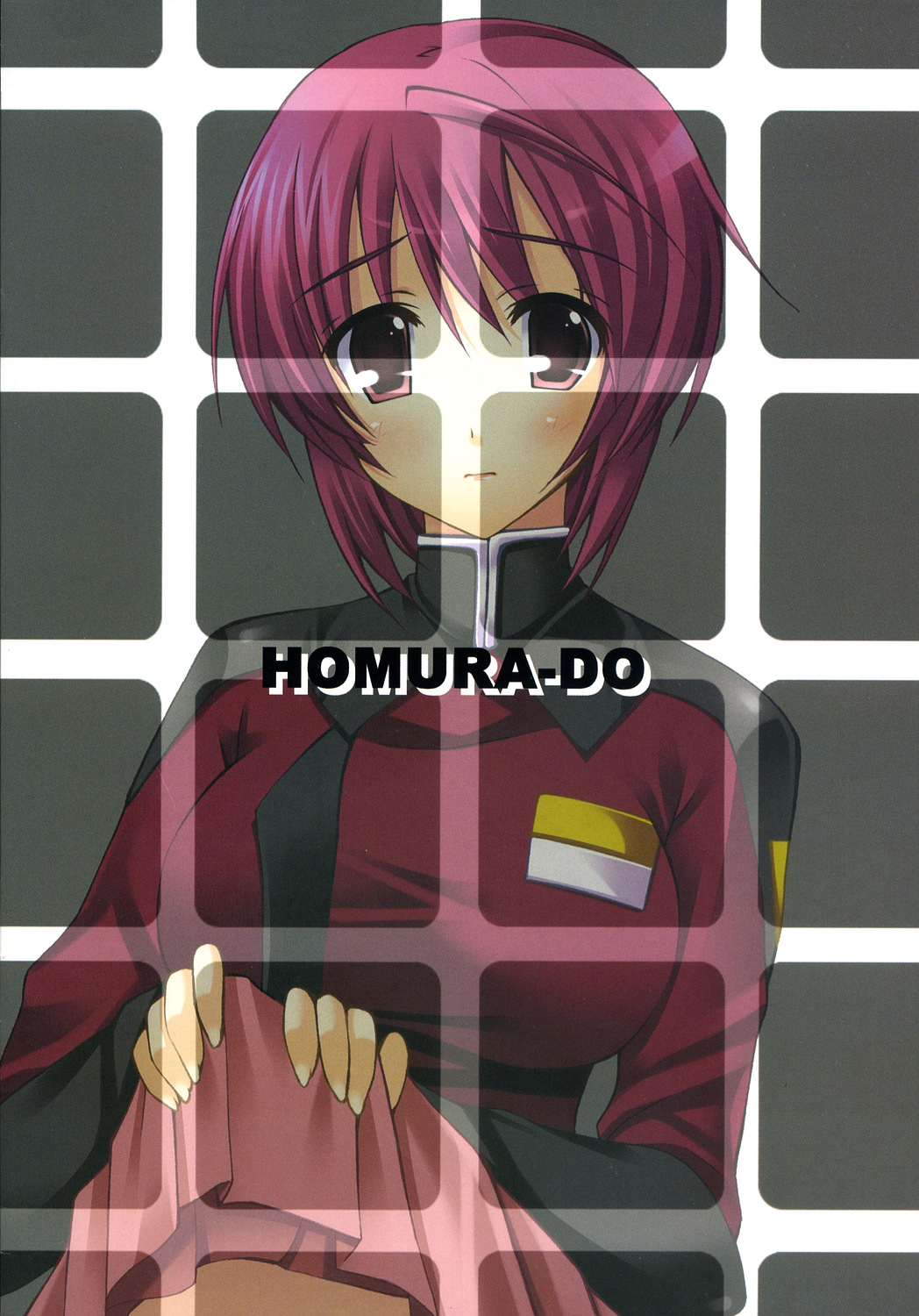 (C72) [Homurado (Mizuhara Yuu)] Taneware. | Seed Explosion. (Gundam Seed) [English] [HMedia] page 2 full