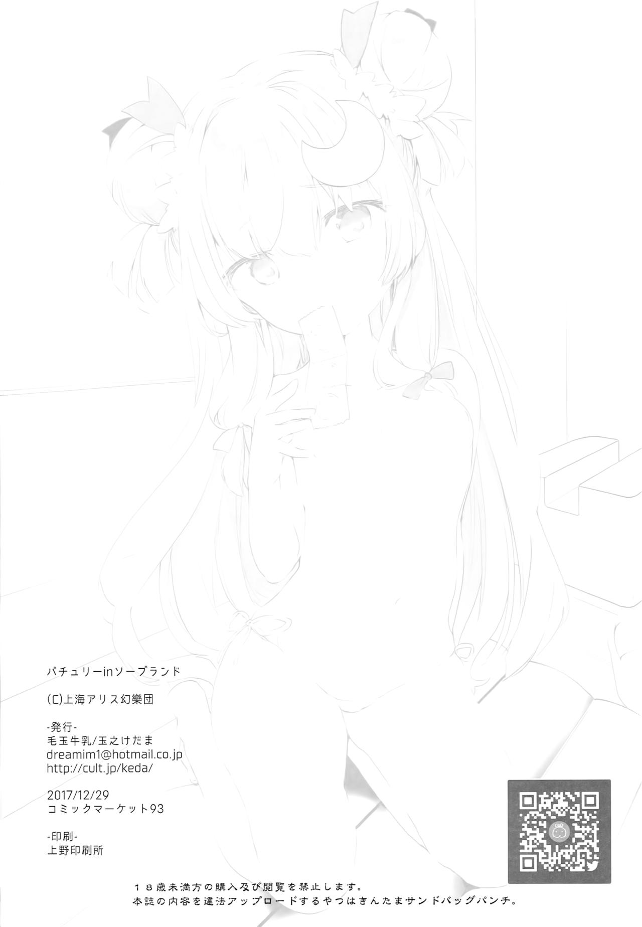 (C93) [Kedama Gyuunyuu (Tamano Kedama)] Patchouli in Soapland (Touhou Project) [Chinese] [迷途竹林汉化] page 27 full