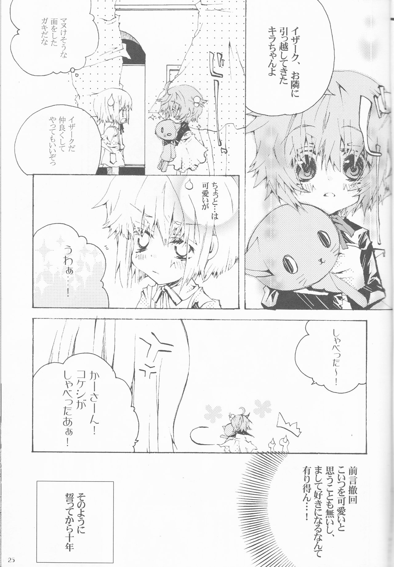 [OMEGA (Koune En)] Hoshizora Waltz (Kidou Senshi Gundam SEED DESTINY) page 25 full