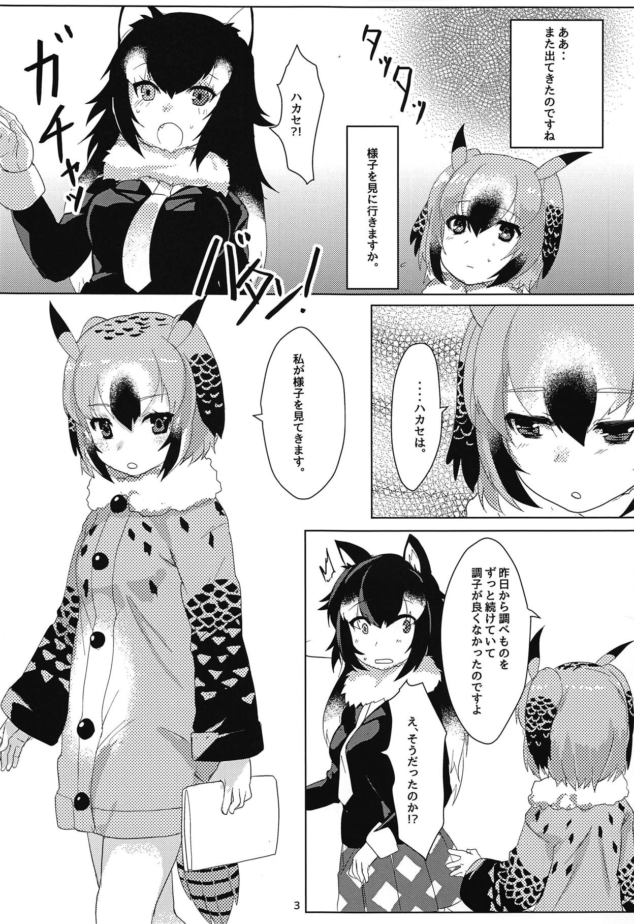 (C95) [Tokkun Dogeza (Tadano Magu)] Hakase no Joshu-san (Kemono Friends) page 4 full