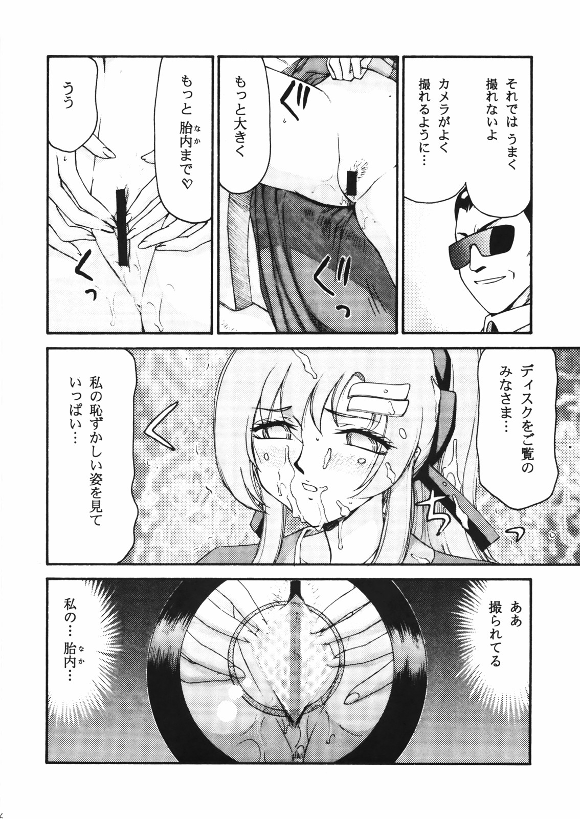 (C72) [LTM.(hajime taira)] Tane desu. Ryou (Gundam Seed Destiny) page 27 full