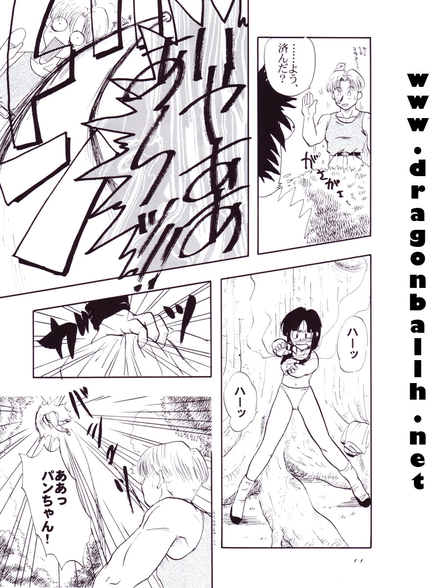 (C54) [Chirigami Goya, Fusuma go Ten (Shoji Hariko)] Tirinuruwo (DRAGON BALL) page 11 full