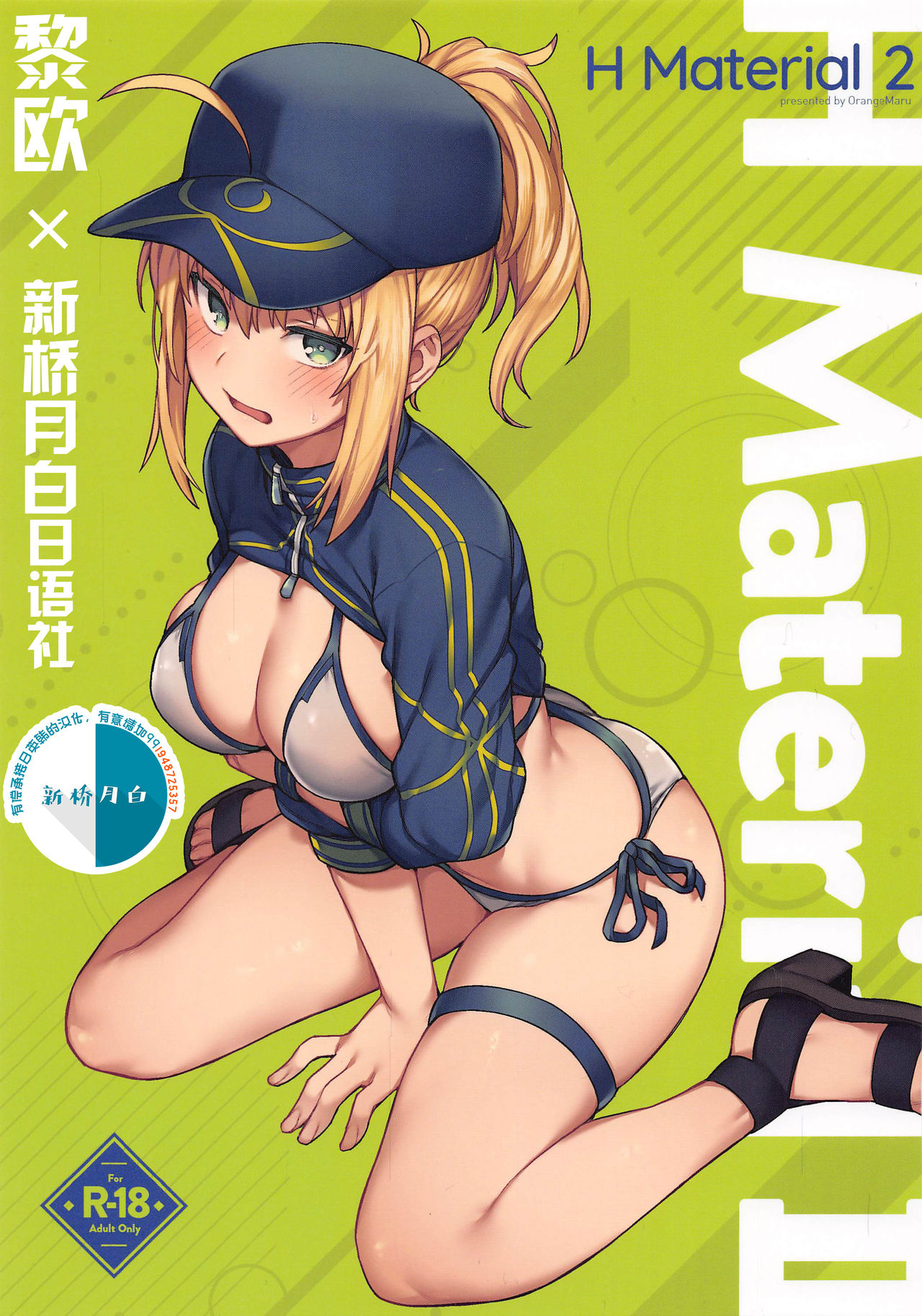 (COMIC1☆17) [OrangeMaru (JP06)] H Material 2 (Fate/Grand Order) [Chinese] [黎欧x新桥月白日语社] page 1 full