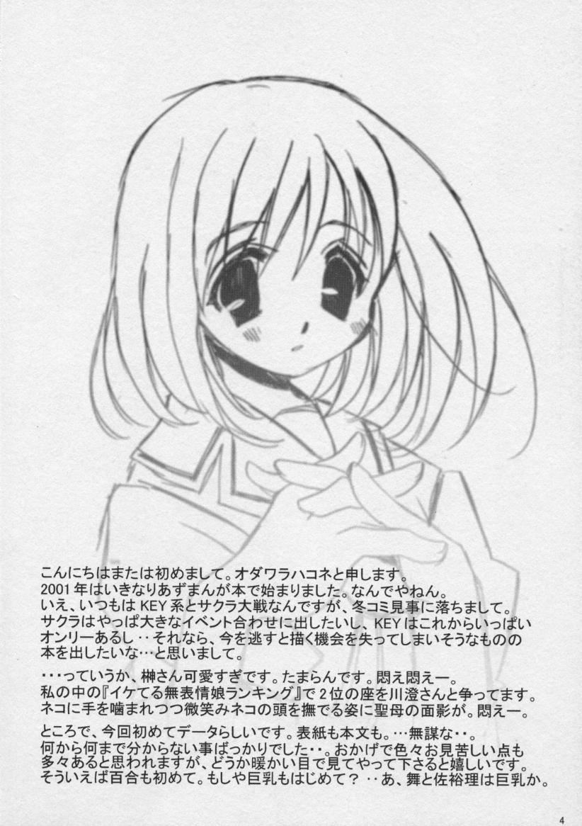 (SC10) [VISTA (Odawara Hakone)] Sakakimanga Daioh (Azumanga Daioh) page 3 full