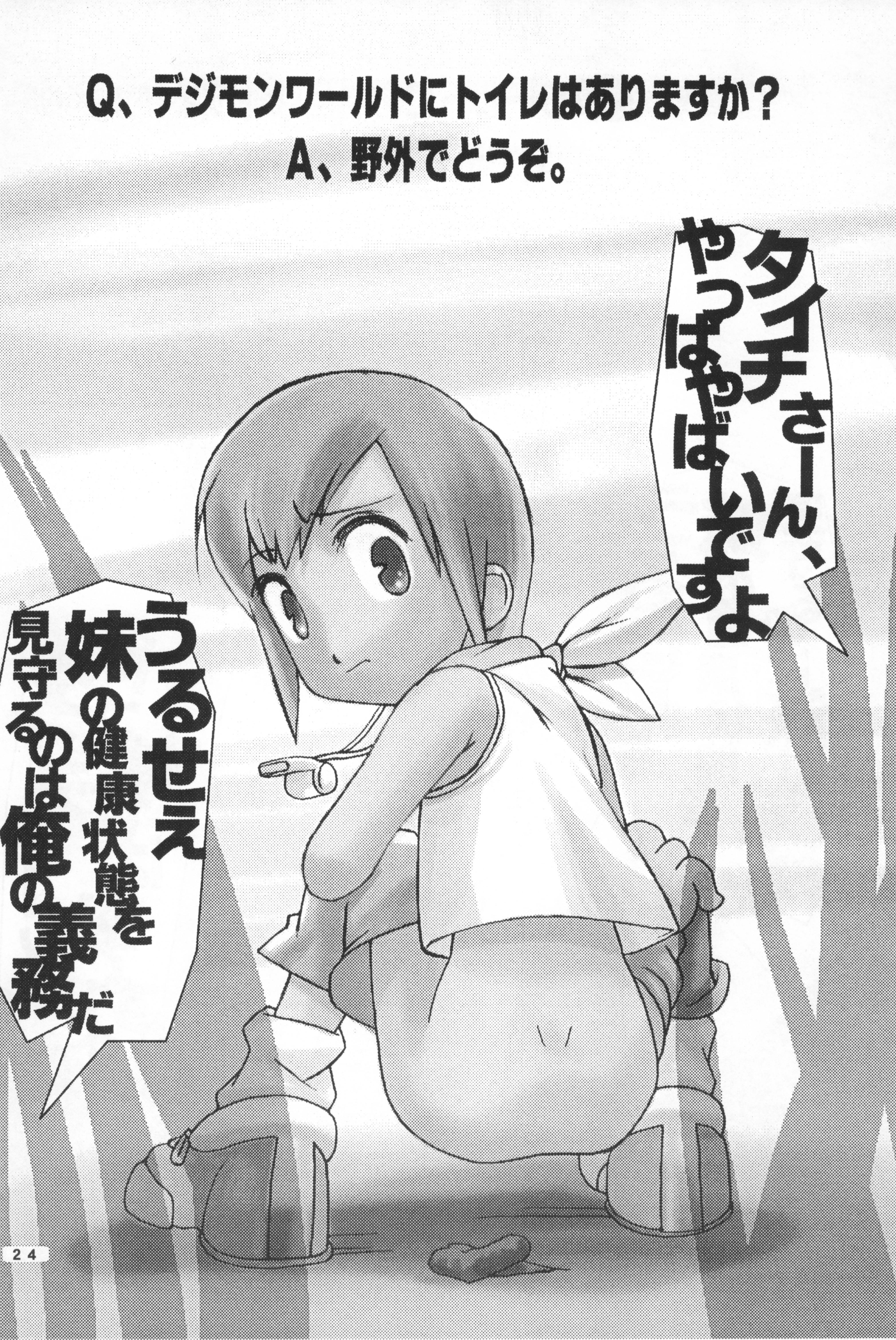 (C58) [Hitosuji Nawa (Ryo Kumagaya)] Hikarin (Digimon) page 24 full