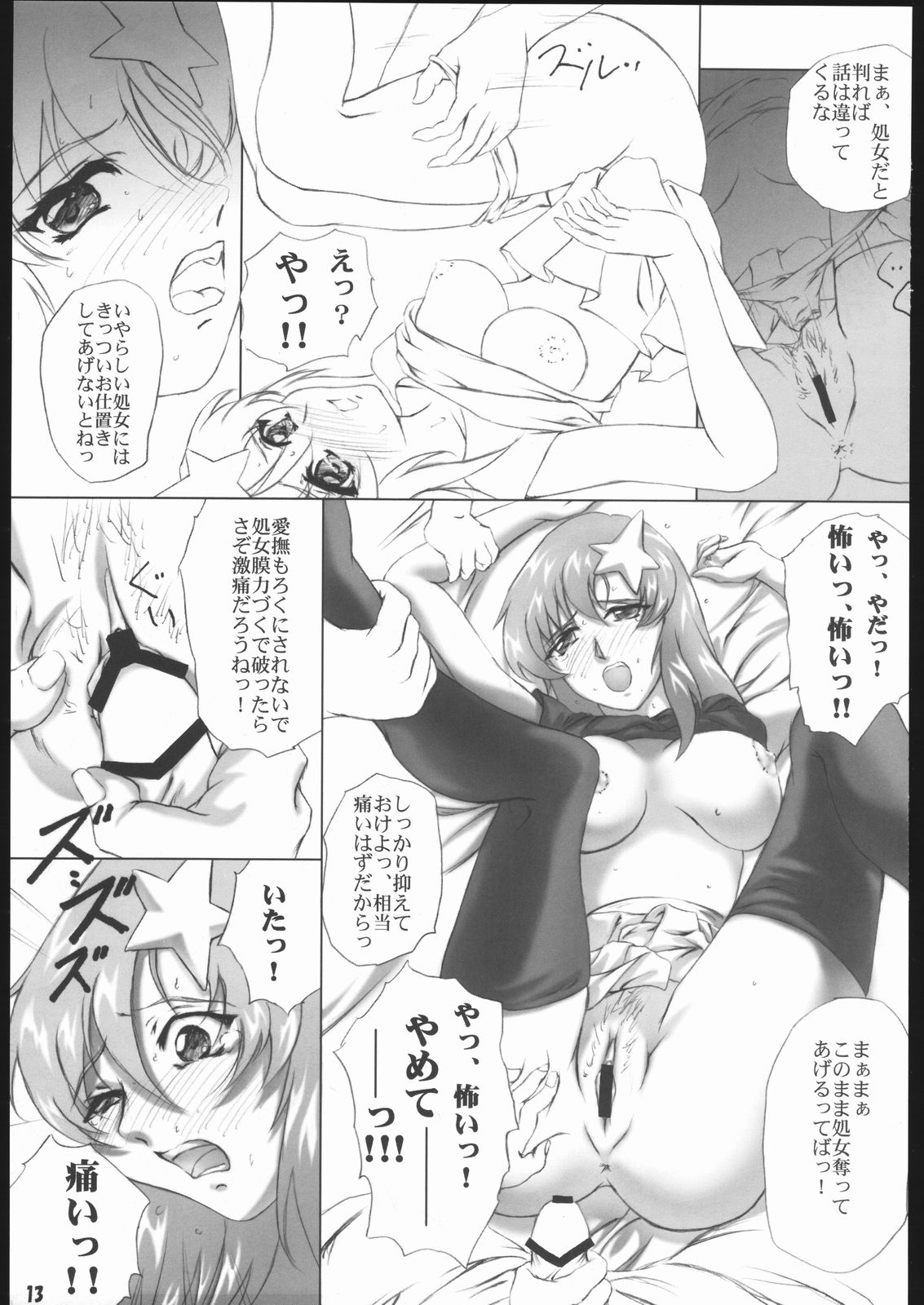 (C69) [L-Calena (Kisaragi)] Nekomanma 5 (Gundam Seed Destiny) page 12 full