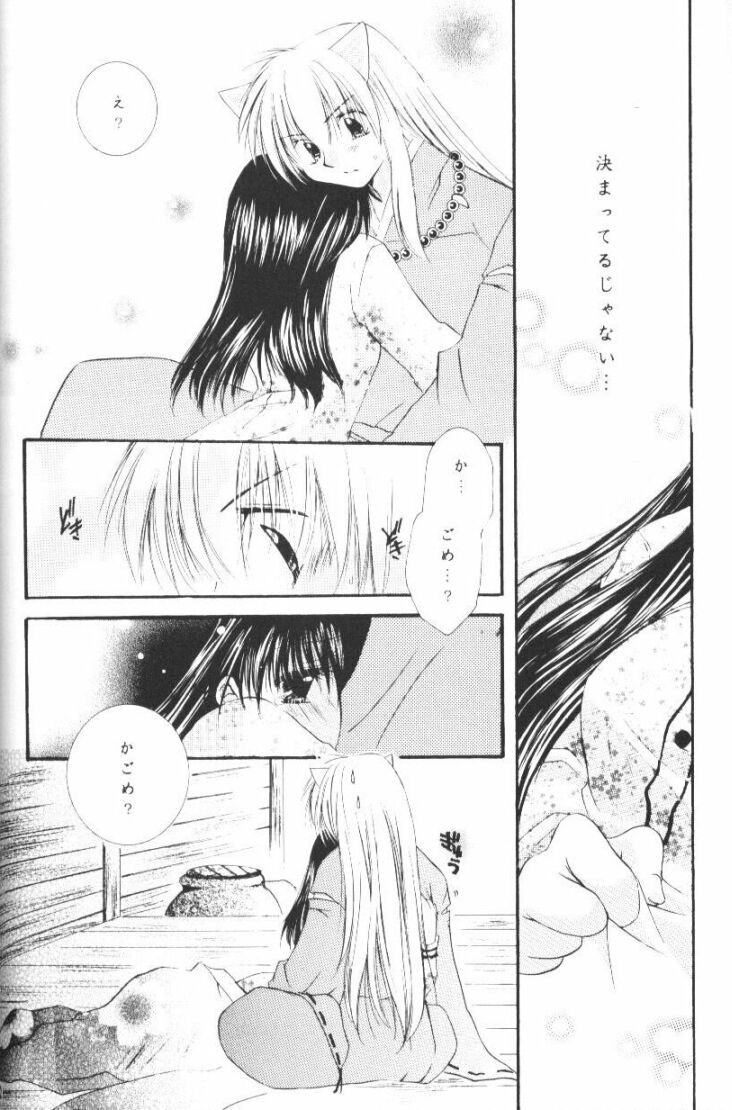 (CR33) [Sakurakan (Seriou Sakura)] Hoshikuzu Drop (Inuyasha) page 49 full