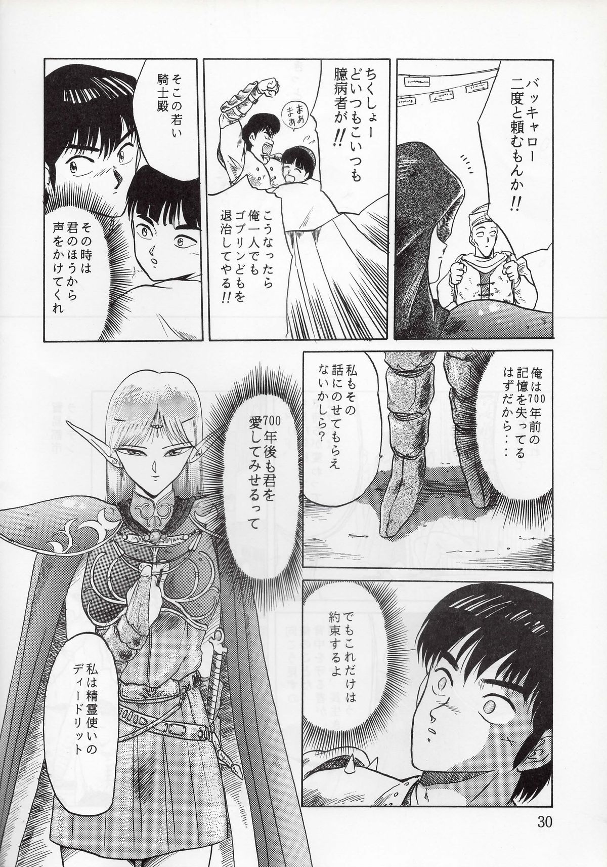 (C37) [Waku Waku Doubutsuen (Tennouji Kitsune)] Elf no Musume - Die Elfische Tochter (Record of Lodoss War) page 30 full