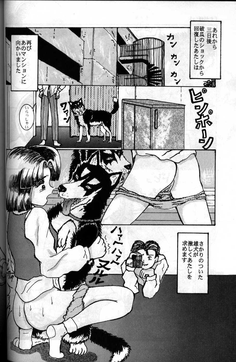 [Nihon Shintou (Takaha Shin)] Inu ga Kirai page 14 full