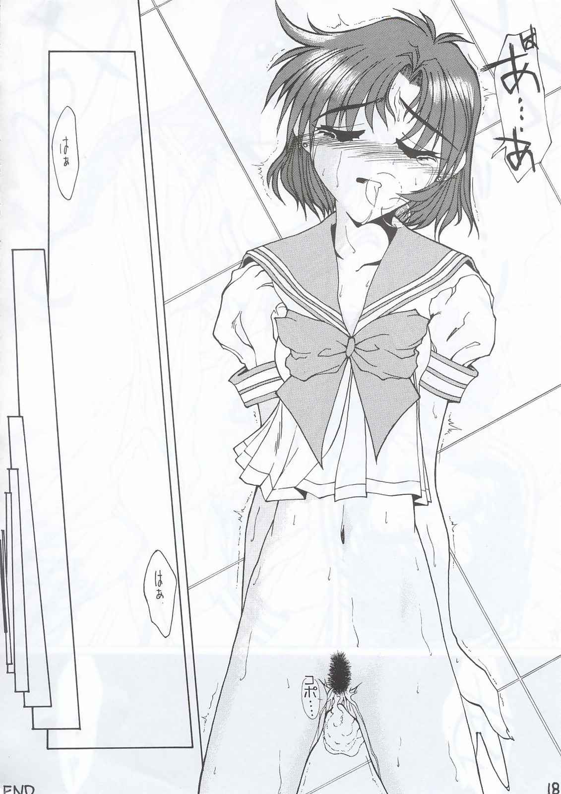 (C63) [Fresnel Lens (Hirano Kana)] Sai (Bishoujo Senshi Sailor Moon, Sentimental Graffiti, Martian Successor Nadesico) page 17 full