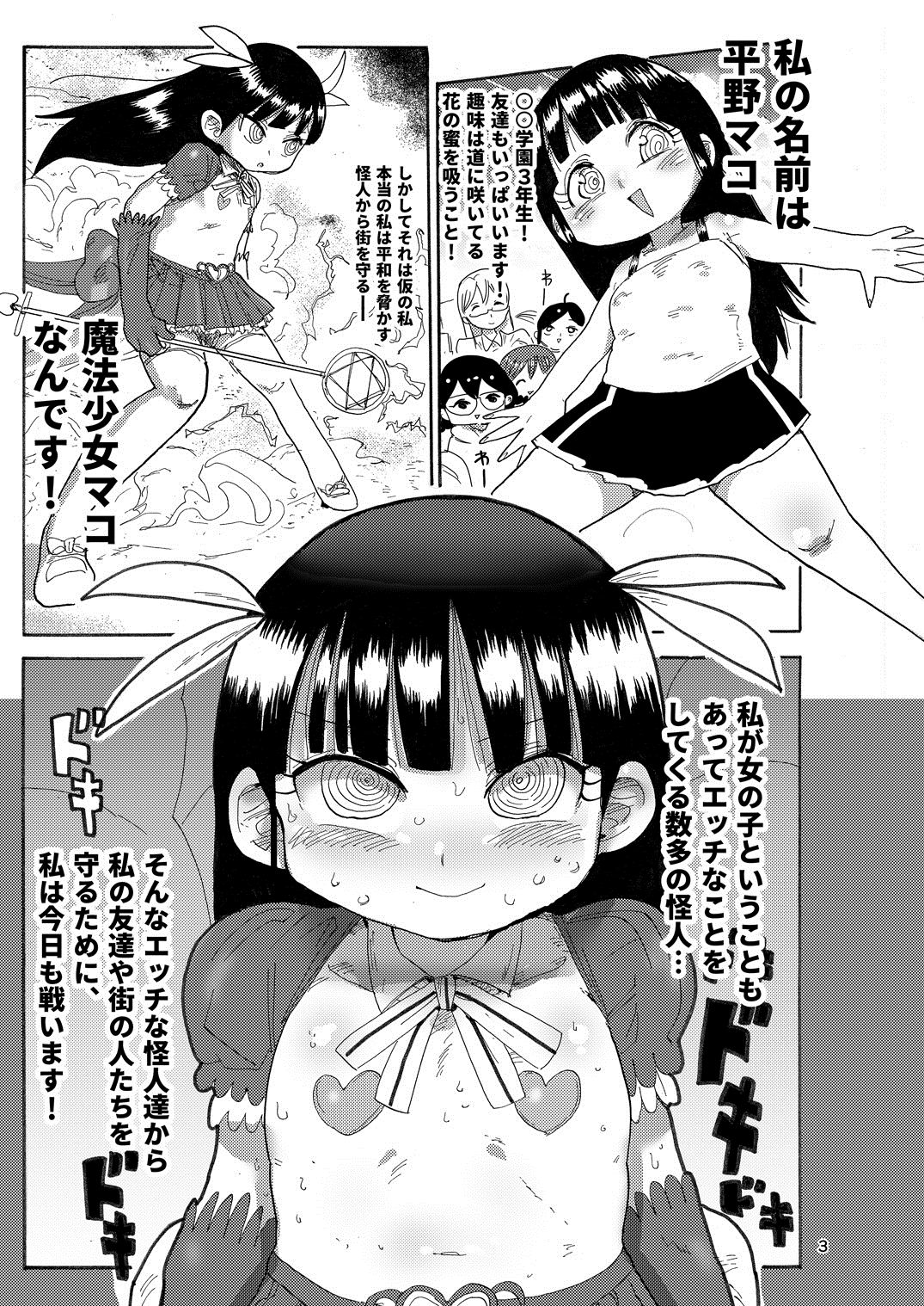 (C92) [CRAFT (Kiliu)] Yousei no Mahou Shoujo page 2 full