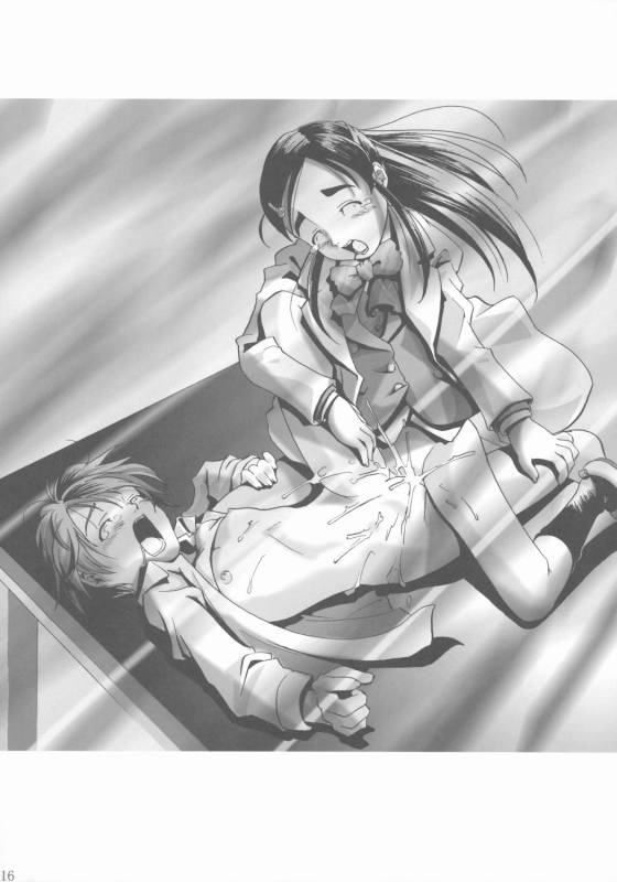 (SC27) [Gallery Walhalla (Kanoe)] chinpo hayasu no akita yo (Futari wa Precure) page 14 full