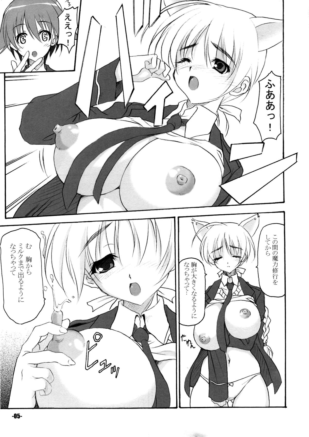 (C78) [EXtage (Minakami Hiroki)] P.H.N (Strike Witches) page 5 full