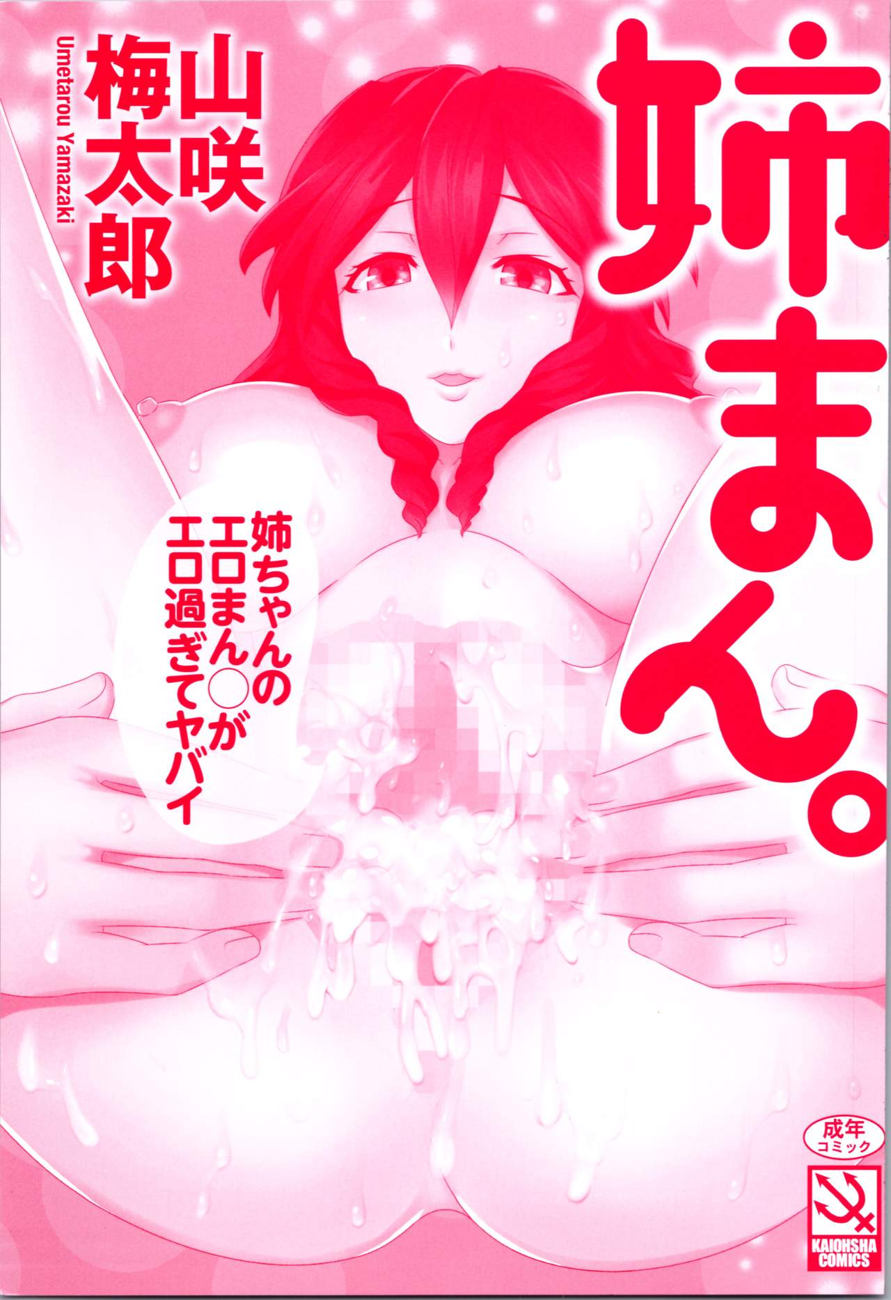 [Yamazaki Umetarou] Aneman. Nee-chan no Ero Manko ga Erosugite Yabai page 3 full