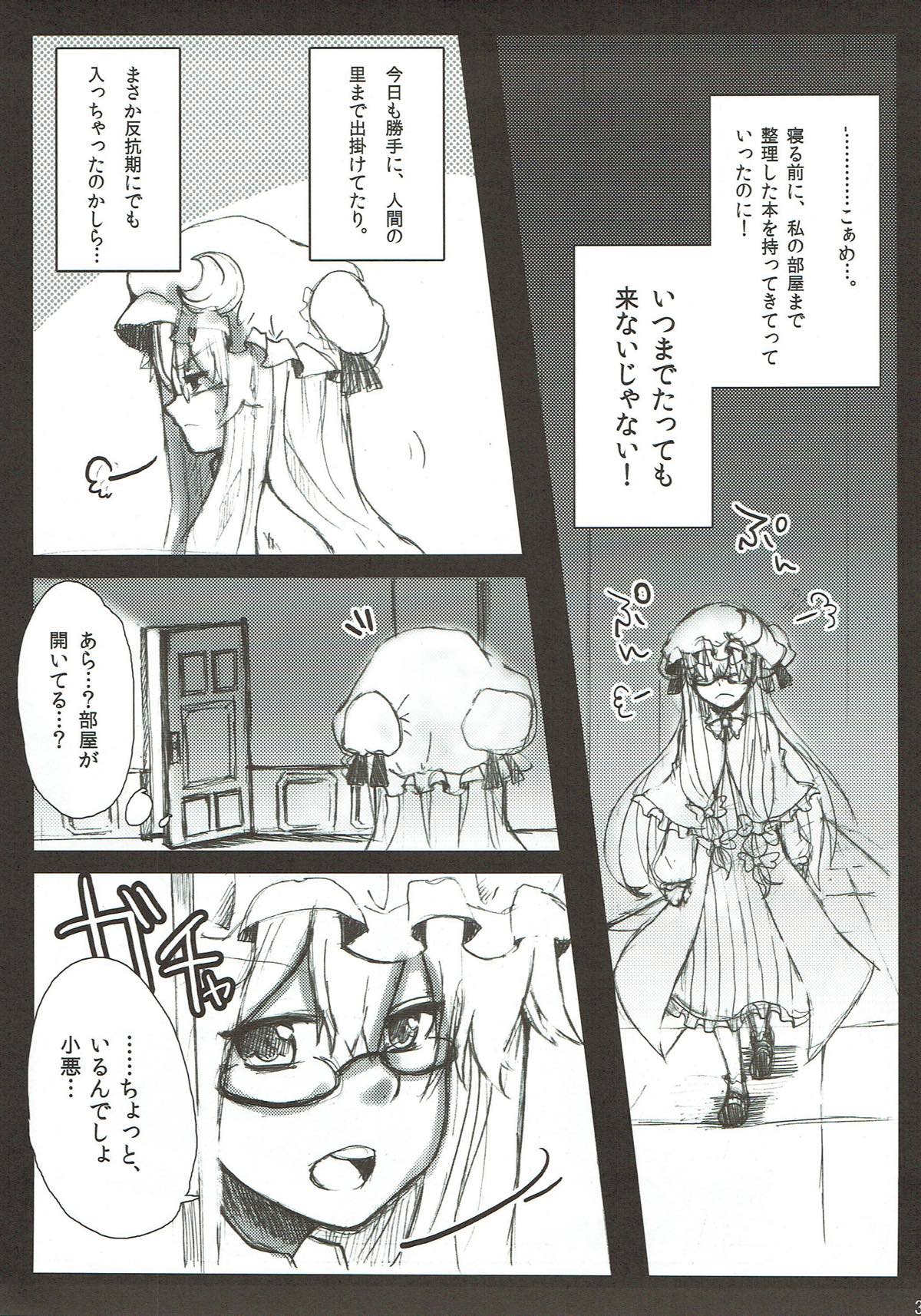 (Kouroumu 8) [Kuusou Monochrome (Abi)] BLIND LOVE (Touhou Project) page 4 full