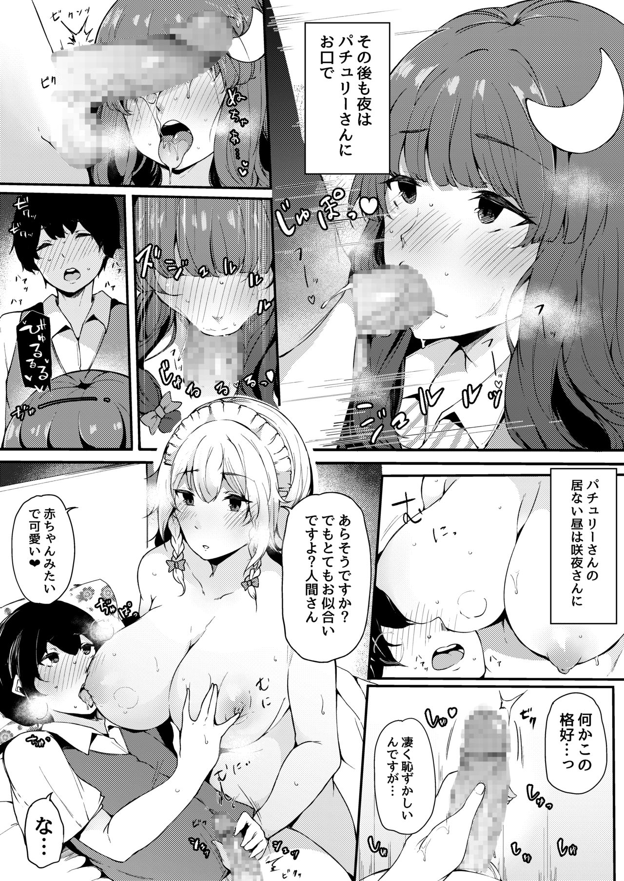 [BlossomSphere (Sakurayu Hal)] Koumakan no Majo ni Hirowareta Boku. (Touhou Project) [Digital] page 10 full