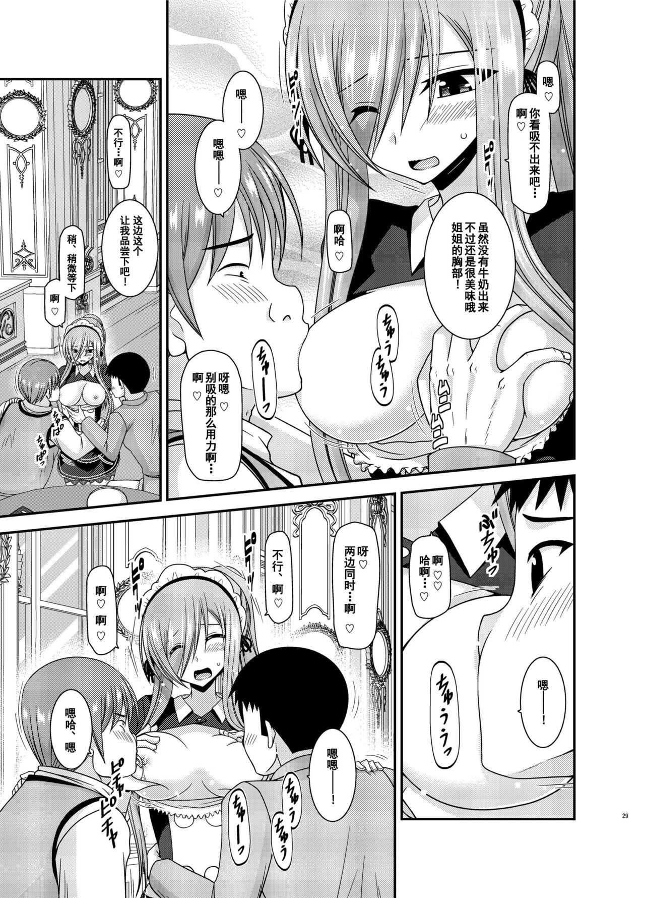 [valssu (Charu)] Melon ga Chou Shindou! R13 (Tales of the Abyss) [Chinese] [流星汉化] [Digital] page 28 full