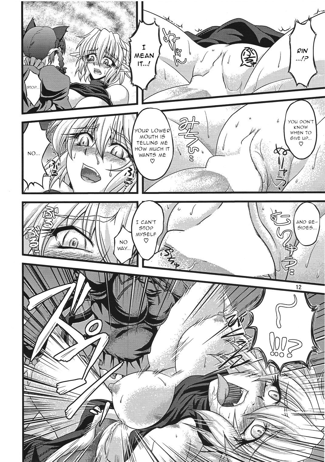 (C78) [Kougeki (Ootsuki Wataru)] Pleasure Ground (Touhou Project) [English] [gentletemptl] page 11 full