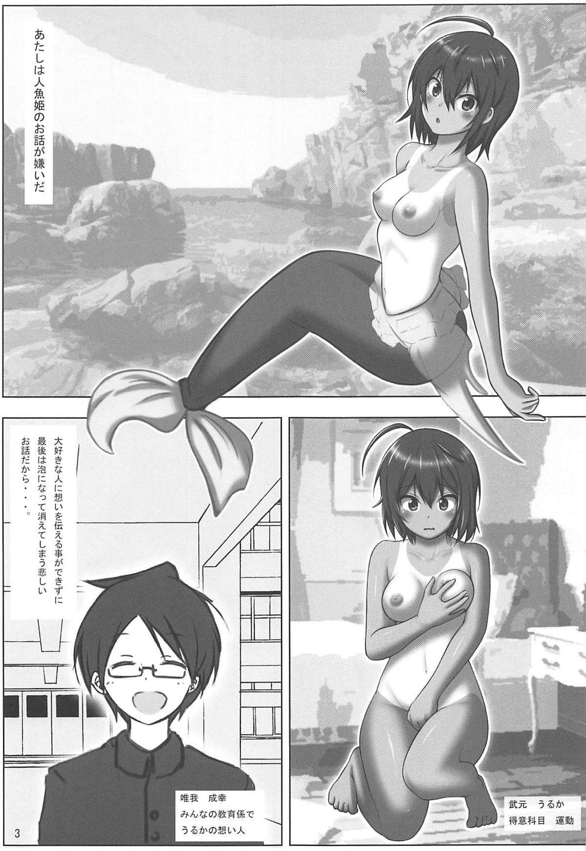 (C94) [Chinjuu Mufy (Oonita Hiroyuki, Nishino Tama)] Mousou Ningyohime (Bokutachi wa Benkyou ga Dekinai) page 2 full