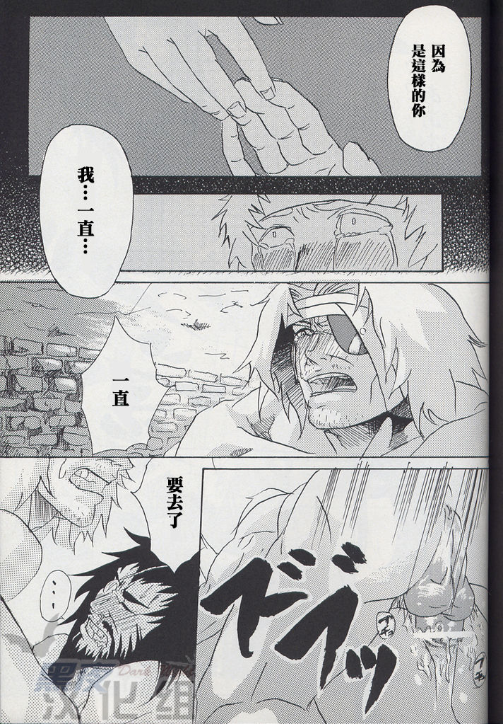 [Diesel Kikan (Nasichi)] amour (Romancing SaGa -Minstrel Song-) [Chinese] [黑夜汉化组] page 18 full