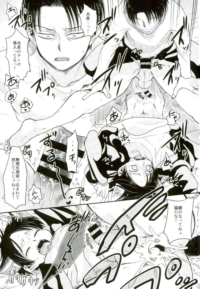 (C91) [Sonic (PANA)] Shinpei-kun ga Neko ni Narimashite (Shingeki no Kyojin) page 22 full
