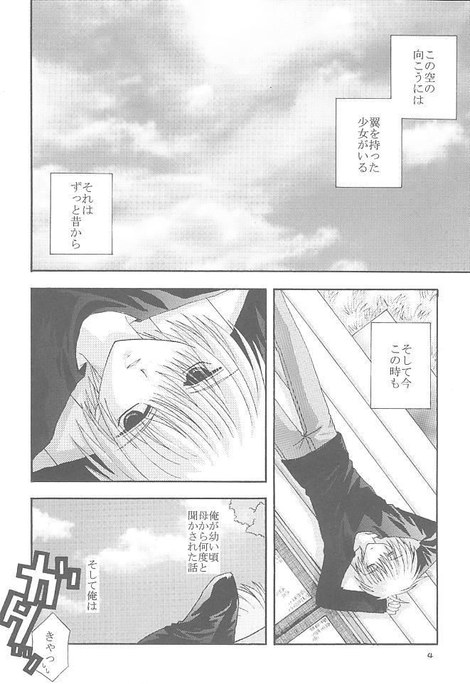 (SUPER10) [Neko Kinryouku (NekoNeko)] Mawaru Sora (Air) page 3 full