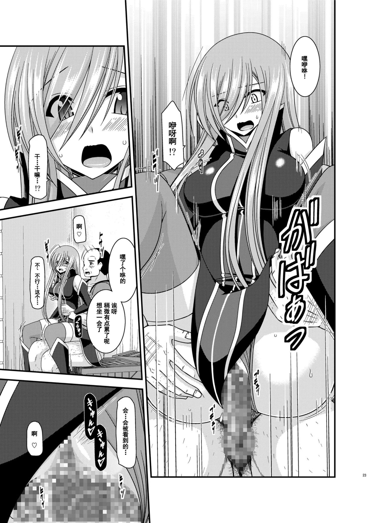 [valssu (Charu)] Melon ga Chou Shindou! R12 (Tales of the Abyss) [Chinese] [流星汉化] [Digital] page 22 full