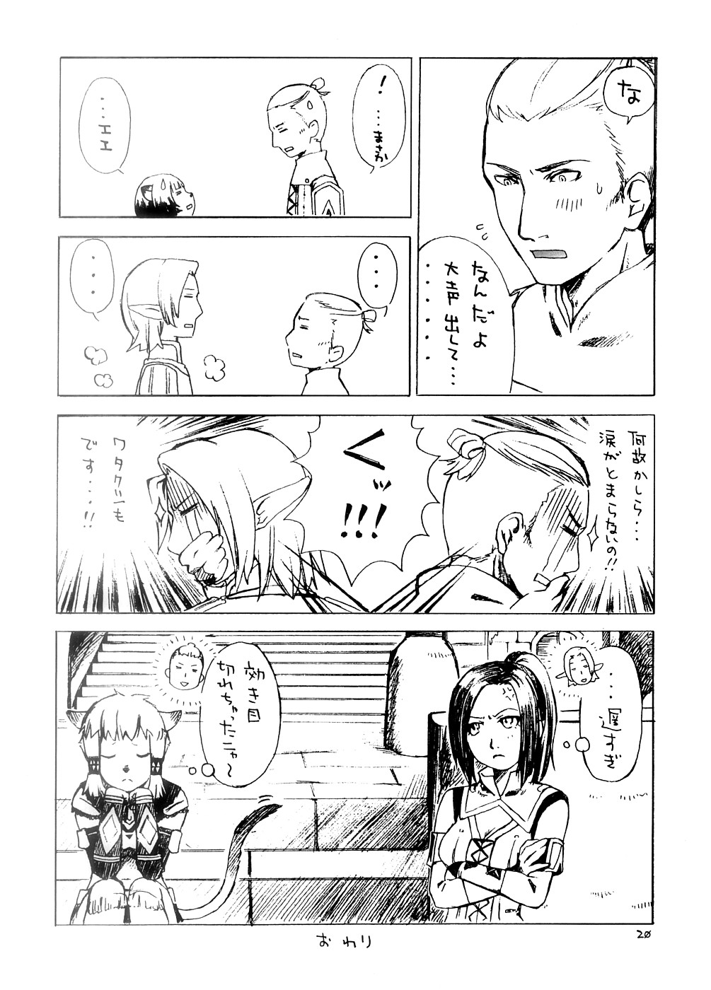 (C74) [Nichiyouban (Hoshina Shintarou)] Souvenir Jou (Final Fantasy XI) page 19 full