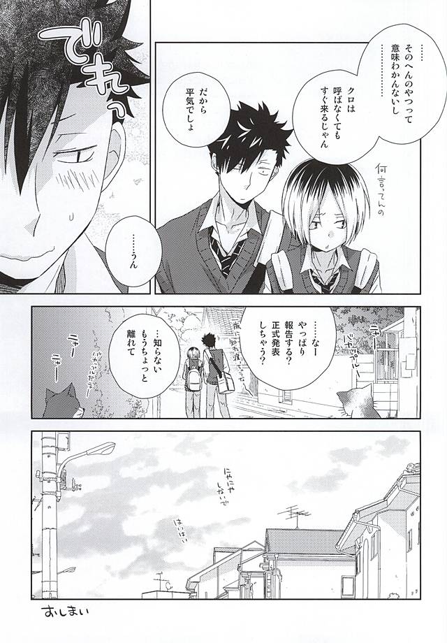 (RTS!!5) [MOBRIS (Tomoharu)] Neko Otoko Ichizoku no Koubi Report (Haikyuu!!) page 44 full