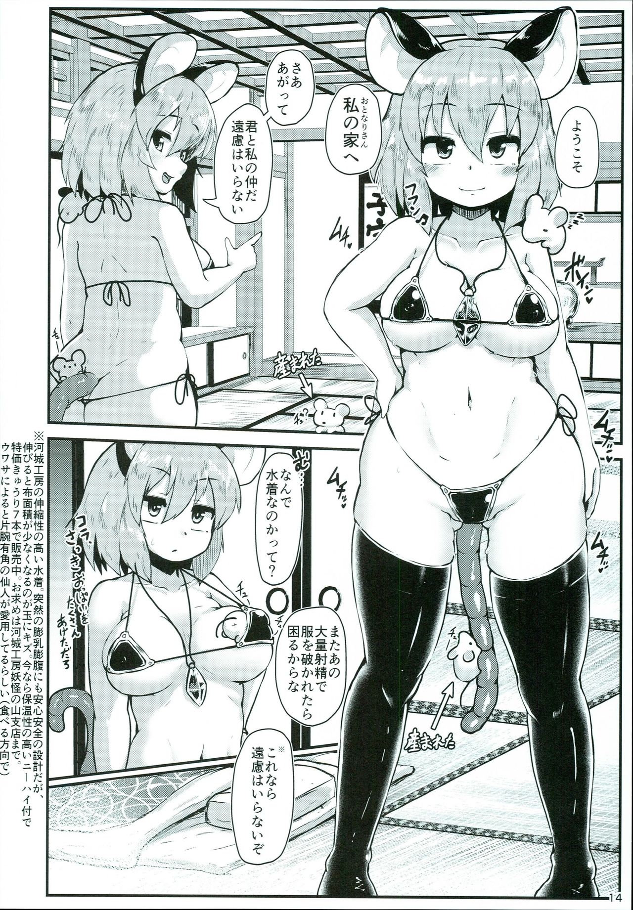 (C93) [Cheese Company (Peso)] Otonari no Nazrin wa Hanshokuki (Touhou Project) page 14 full