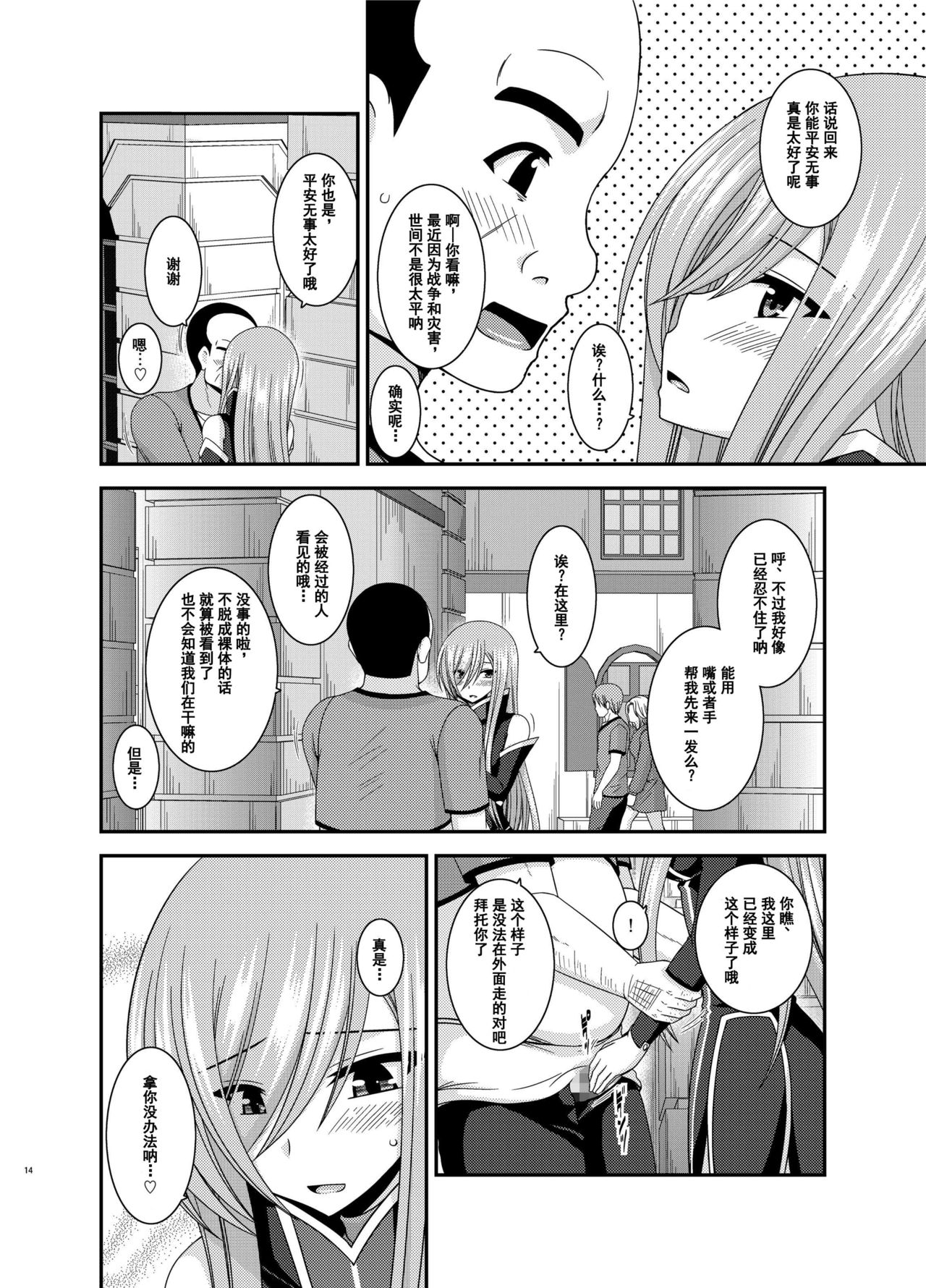 [valssu (Charu)] Melon ga Chou Shindou! R12 (Tales of the Abyss) [Chinese] [流星汉化] [Digital] page 13 full