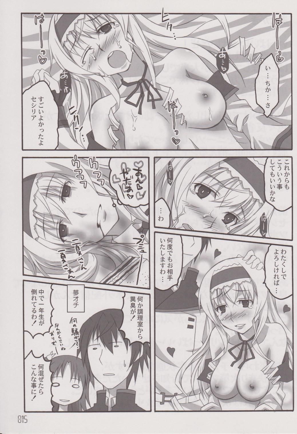 (SC52) [Licorice Candy (Kuroama)] CHORO-AO (IS <Infinite Stratos>) page 14 full