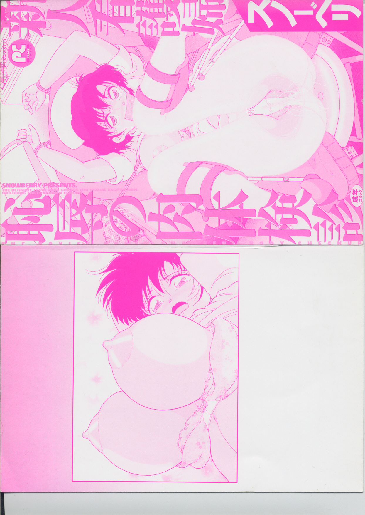 [Snowberry] Shinjin Kango fu Chijoku no Nikutai Kenshin page 3 full