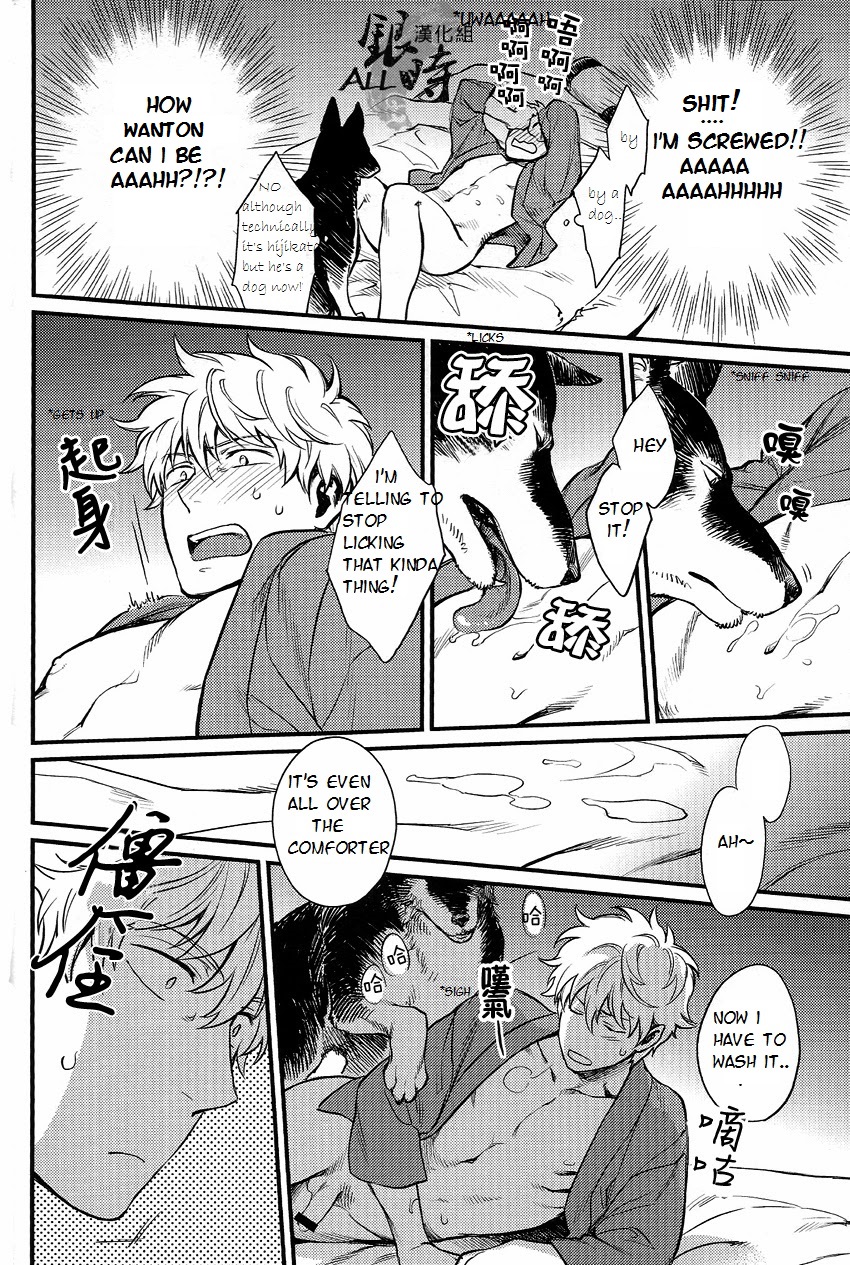 (HaruCC18) [3745HOUSE, tekkaG (MIkami Takeru, Haru)] HOW to SPOIL YOUR DOG (Gintama) [English] [valc21] page 28 full