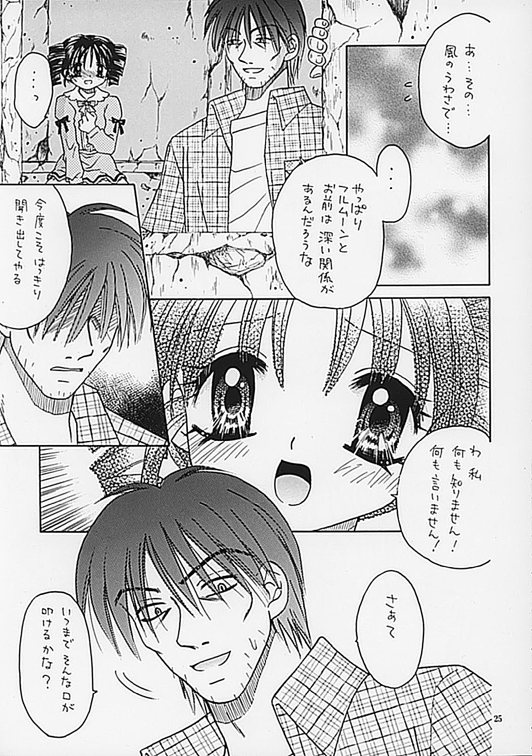 (C62) [Keiji in Cage (Azamino Keiji, Hinase Kazusa, Kageno Illyss)] Around The Secret page 25 full