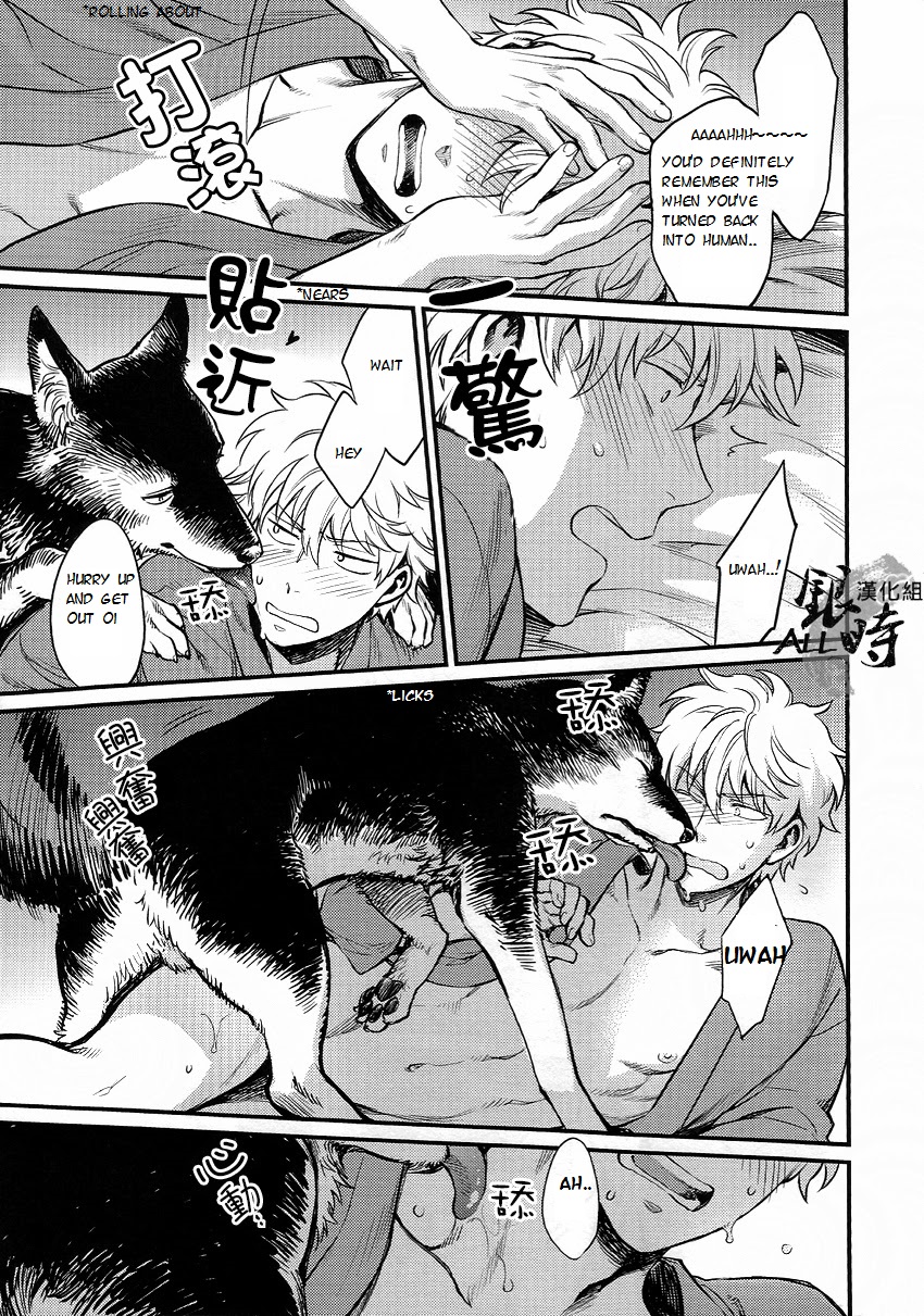 (HaruCC18) [3745HOUSE, tekkaG (MIkami Takeru, Haru)] HOW to SPOIL YOUR DOG (Gintama) [English] [valc21] page 25 full
